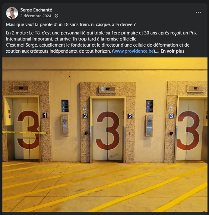 t8-serge